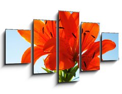 Obraz   two lilies, 125 x 70 cm