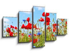 Obraz 5D ptidln - 125 x 70 cm F_GS23892444 - blumenwiese