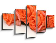 Obraz ptidln 5D - 125 x 70 cm F_GS24150167 - Rosen