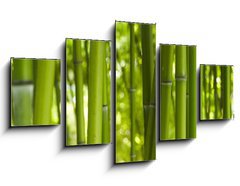 Obraz 5D ptidln - 125 x 70 cm F_GS24255297 - Bambus Bamboo 06