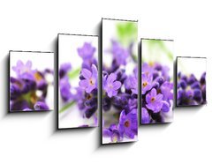 Obraz ptidln 5D - 125 x 70 cm F_GS24305034 - Aroma, Lavendel