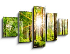 Obraz 5D ptidln - 125 x 70 cm F_GS245602125 - Beautiful forest panorama in spring with bright sun shining through the trees - Krsn lesn panorama na jae s jasnm sluncem prosvtajcm mezi stromy