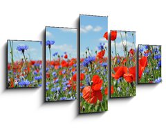 Obraz ptidln 5D - 125 x 70 cm F_GS24598223 - Feldblumen am Wegesrand