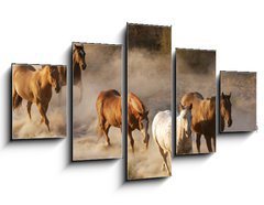 Obraz   wild horses running, 125 x 70 cm