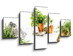 Obraz 5D ptidln - 125 x 70 cm F_GS247543142 - Marjoram, oregano, rosemary garden herbs set