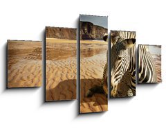Obraz   Beach Zebra, 125 x 70 cm