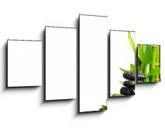 Obraz 5D ptidln - 125 x 70 cm F_GS25877921 - Spa concept