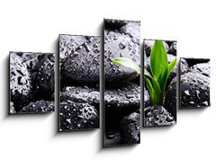 Obraz ptidln 5D - 125 x 70 cm F_GS25878336 - Spa concept
