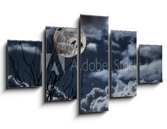 Obraz ptidln 5D - 125 x 70 cm F_GS26290329 - Full moon - plnk