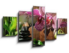 Obraz 5D ptidln - 125 x 70 cm F_GS26295385 - Spa