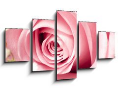 Obraz ptidln 5D - 125 x 70 cm F_GS26423247 - Rosa