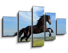 Obraz 5D ptidln - 125 x 70 cm F_GS26473191 - beautiful black horse playing on the field