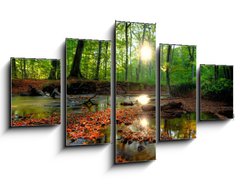 Obraz ptidln 5D - 125 x 70 cm F_GS26798105 - Autumn forrest