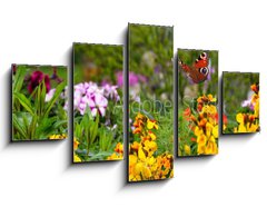Obraz 5D ptidln - 125 x 70 cm F_GS270234629 - Schmetterling 578