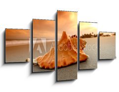 Obraz ptidln 5D - 125 x 70 cm F_GS27383756 - shell