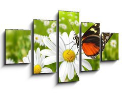 Obraz ptidln 5D - 125 x 70 cm F_GS27824157 - Schmetterling 104