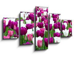 Obraz 5D ptidln - 125 x 70 cm F_GS27832977 - tulipany