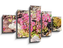 Obraz 5D ptidln - 125 x 70 cm F_GS280902351 - Berg