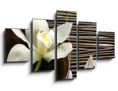 Obraz ptidln 5D - 125 x 70 cm F_GS28682309 - bowl of orchid, petal on bamboo mat