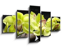 Obraz ptidln 5D - 125 x 70 cm F_GS28704668 - Wellness concept with zen stone and orchid