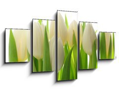 Obraz ptidln 5D - 125 x 70 cm F_GS28819889 - Tulips