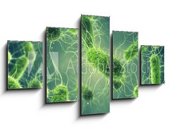 Obraz   Pathogenic Salmonella Bacteria, Microbiological research, 125 x 70 cm