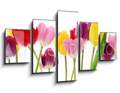Obraz 5D ptidln - 125 x 70 cm F_GS29490982 - Spring tulip flowers in a row