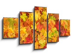 Obraz 5D ptidln - 125 x 70 cm F_GS295252486 - Maple leaves Autumn red yellow green floral background banner