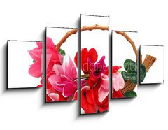Obraz   Colourful cyclamen flowers in the basket, 125 x 70 cm