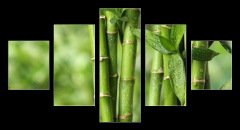 Obraz 5D ptidln - 125 x 70 cm F_GS297248139 - Beautiful green bamboo stems on blurred background