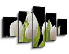Obraz   Tulips, 125 x 70 cm