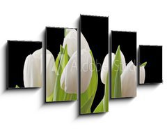 Obraz 5D ptidln - 125 x 70 cm F_GS29886850 - Tulips