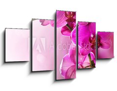Obraz   Orchid Flower border design, 125 x 70 cm