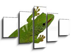 Obraz 5D ptidln - 125 x 70 cm F_GS3016112 - lezard vert