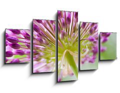 Obraz 5D ptidln - 125 x 70 cm F_GS30429573 - allium