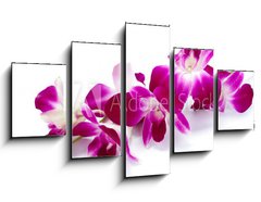 Obraz ptidln 5D - 125 x 70 cm F_GS30514912 - Orchidea