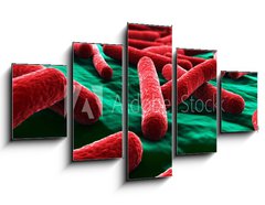 Obraz 5D ptidln - 125 x 70 cm F_GS30619271 - E coli Bacteria close up