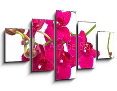 Obraz 5D ptidln - 125 x 70 cm F_GS30847359 - orchidea su sfondo bianco