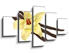 Obraz 5D ptidln - 125 x 70 cm F_GS30979053 - Vanilla Bean and Flower (clipping path) - Vanilkov fazole a kvtina (oezov cesta)