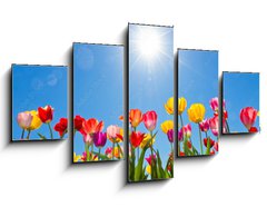 Obraz 5D ptidln - 125 x 70 cm F_GS31333343 - Tulips in the sun
