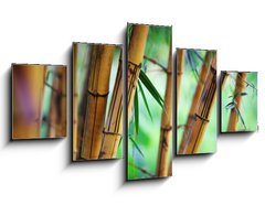 Obraz   Bamboo forest background, 125 x 70 cm