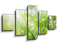 Obraz 5D ptidln - 125 x 70 cm F_GS31545504 - sparkling grass