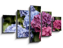 Obraz ptidln 5D - 125 x 70 cm F_GS31577329 - Bl hende Hortensie