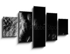 Obraz 5D ptidln - 125 x 70 cm F_GS317106413 - White dandelion on blue