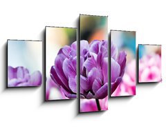 Obraz ptidln 5D - 125 x 70 cm F_GS31786414 - Lila tulpe