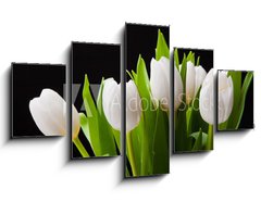 Obraz 5D ptidln - 125 x 70 cm F_GS31897392 - Bouquet of white tulips on black background