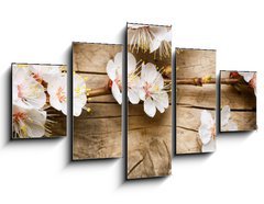 Obraz   Wood background with spring blossom, 125 x 70 cm