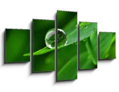 Obraz 5D ptidln - 125 x 70 cm F_GS32091658 - Perle