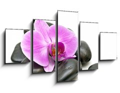 Obraz   Pink orchid and zen Stones on a white background, 125 x 70 cm