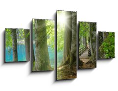 Obraz 5D ptidln - 125 x 70 cm F_GS32267229 - Sonnenschein im Wald neben klarem See